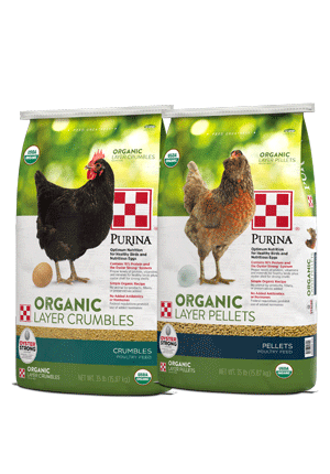 Image of Purina® Organic Layer Pellets or Crumbles poultry feed package right side view