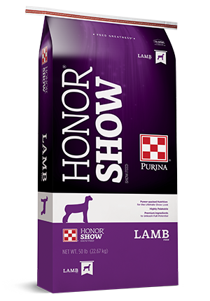 purina lamb chow