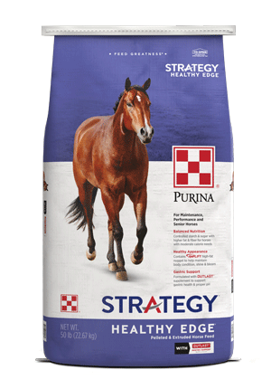 Image of Strategy® Healthy Edge® horse feed bag front facing