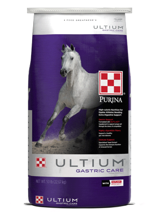 Ultium Gastric Care Horse Feed bag front facing