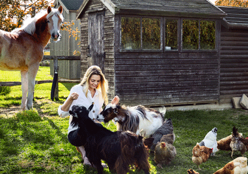 Woman in grass with goat, chickens, horse