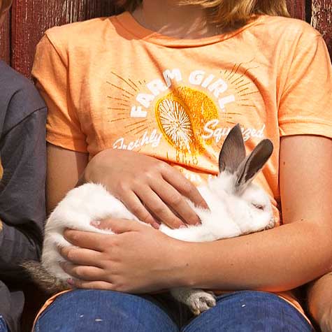 image of a weaning rabbit