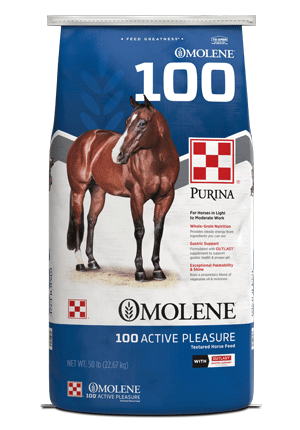 Image of Omolene #100® Active Pleasure horse feed bag front facing