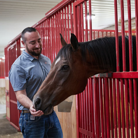 Image of man feeding horse