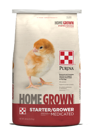 HomeGrown Starter/Grower Medicated Chicken Feed package front view