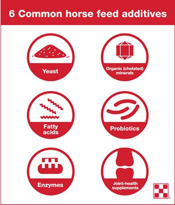 infographic of six common additives in horse feed