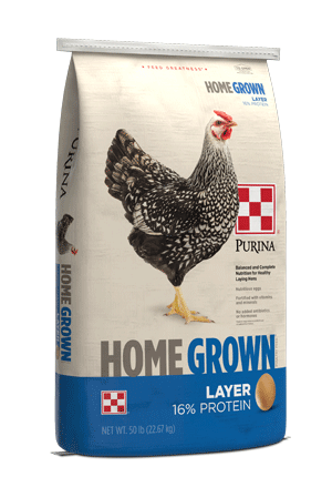 HomeGrown Layer Pellets or Crumbles for laying hens