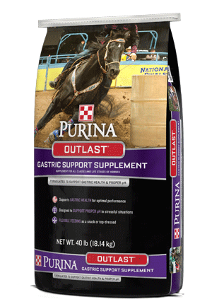 Outlast Horse Feed Gastric Support Supplement bag right facing