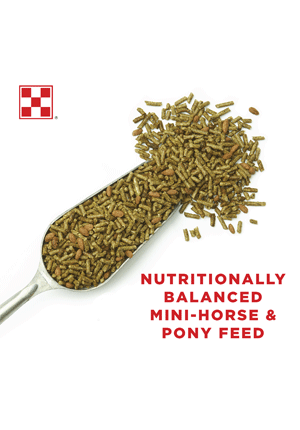 Image of Miniature Horse and Pony feed