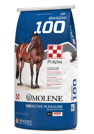 Image of Omolene #100® Active Pleasure horse feed bag right facing