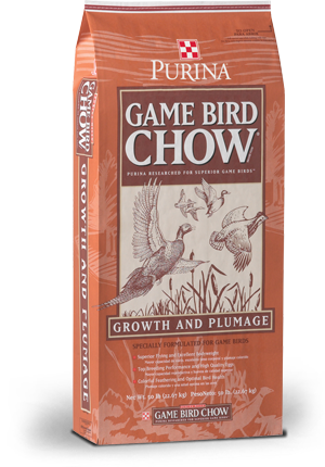 game bird feed for quail