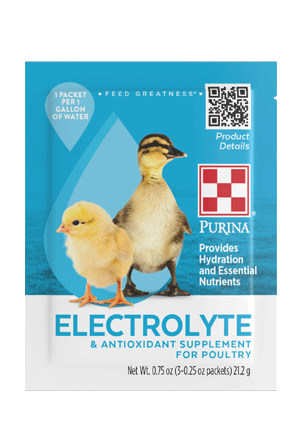 Image of Purina Chick Electrolyte 