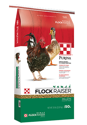 duck food purina