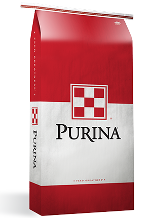 purina fish food