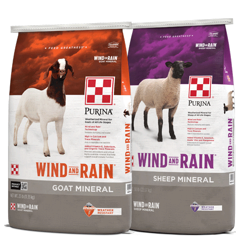 Image of Wind & Rain Mineral packages for sheep and goat