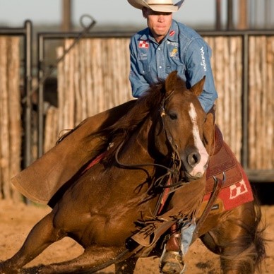 image of a Purina rider on a performance horse