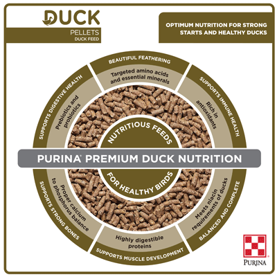 Purina® Duck Feed infographic