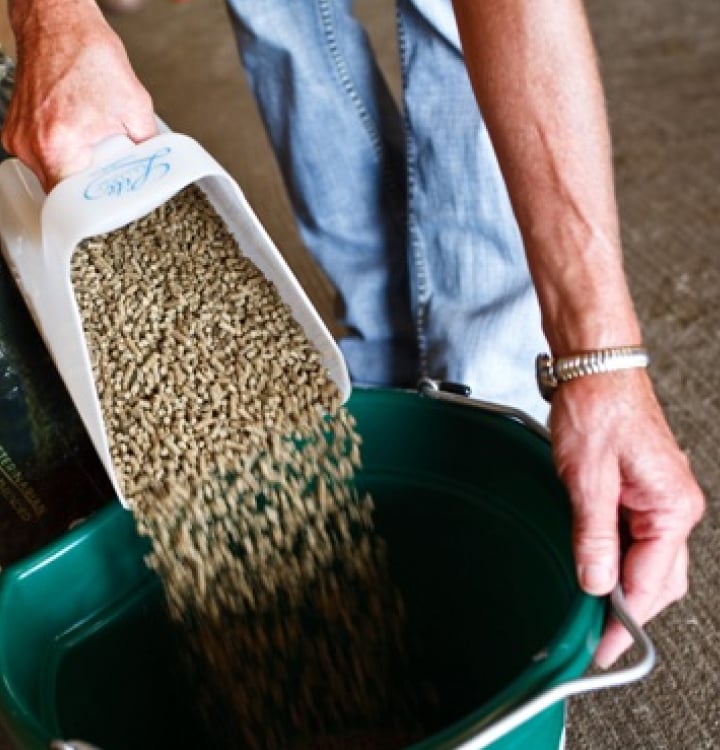 horse feed bucket