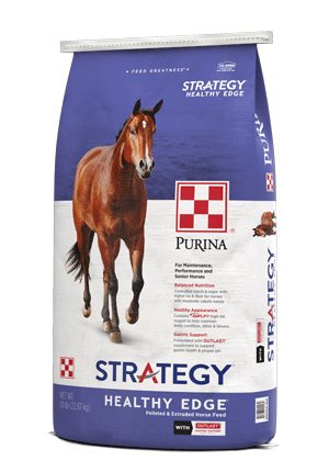 Image of Strategy® Healthy Edge® horse feed bag right facing