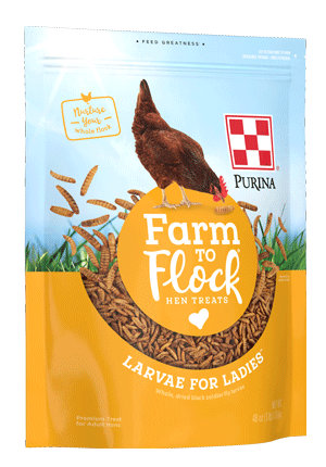 Purina Farm to Flock Larvae for Ladies Hen Treats Purina