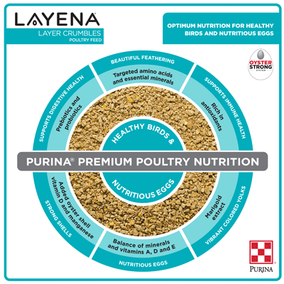  Layena® Layer Feed Crumbles 50lb packages infographic