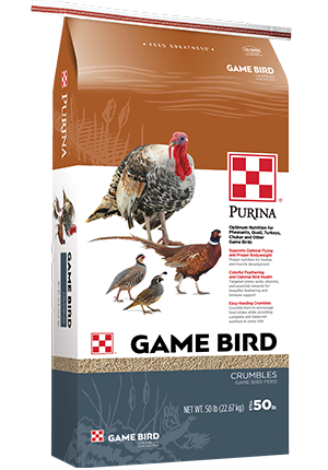 game bird feed for quail