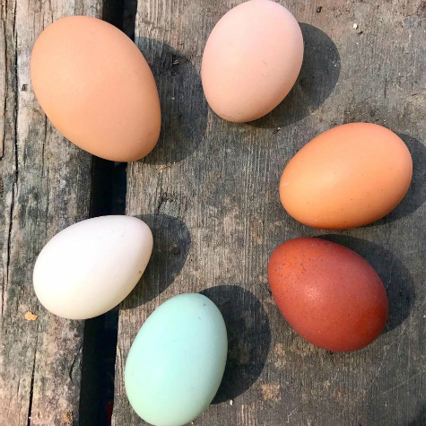 Six farm fresh eggs in varying sizes and colors sit in a circle on a worn barn board.  image